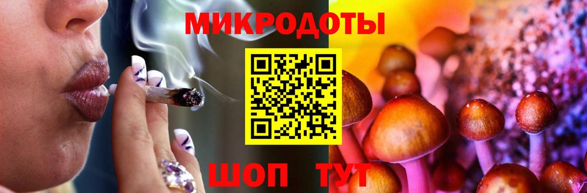 Псилоцибиновые грибы Psilocybe Нефтеюганск